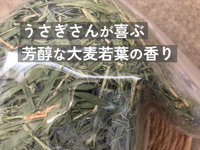大麦若葉