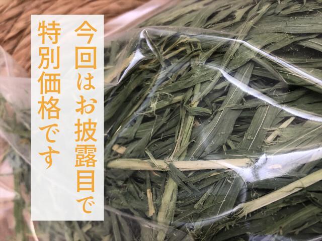 大麦若葉