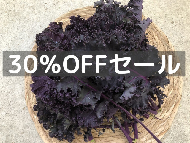 紫カリーノケールロッソ