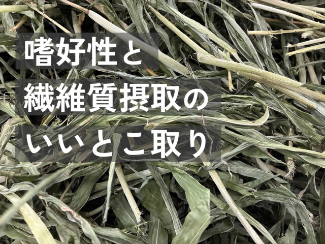 牧草ハト麦