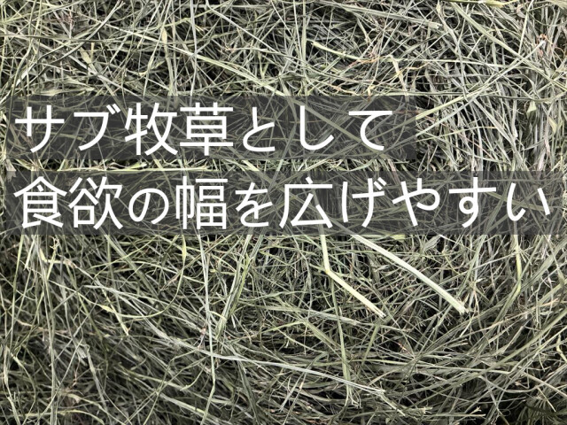 うさぎ用イネ科牧草バヒアグラス