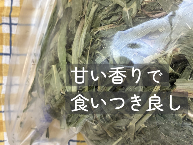 牧草ハト麦