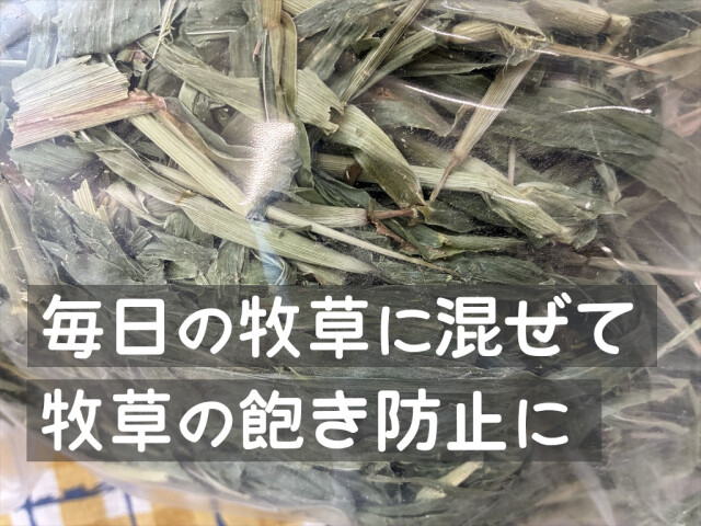 牧草ハト麦