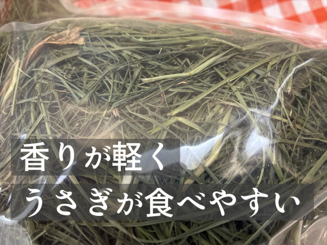 うさぎが食べるバヒアグラス牧草
