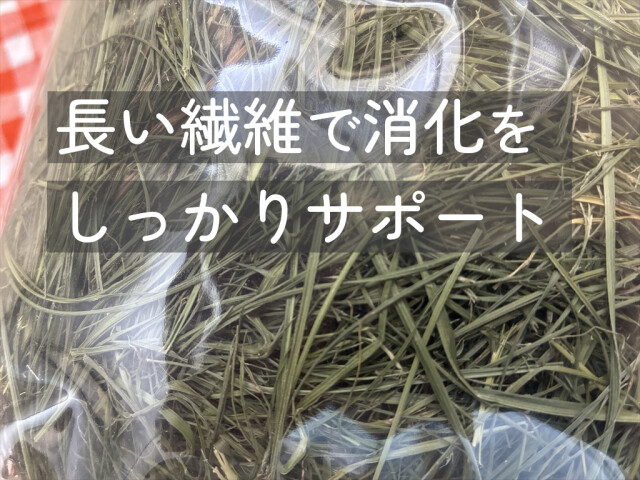 うさぎ畑バヒアグラス牧草