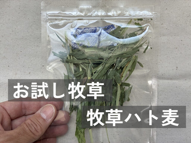 うさぎ用牧草 お試しセット