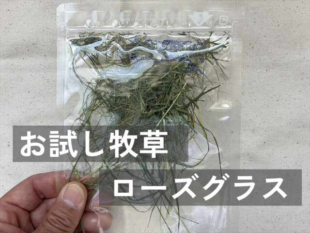 うさぎが食べやすい細茎のローズグラス牧草