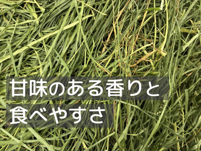 リーフイタリアンライグラス200g｜やわらか葉のプレミアム牧草｜うさぎ畑