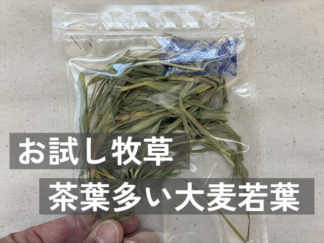 茶葉多い大麦若葉