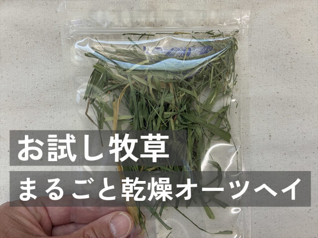 うさぎ畑 まるごと乾燥オーツヘイ うさぎ用牧草