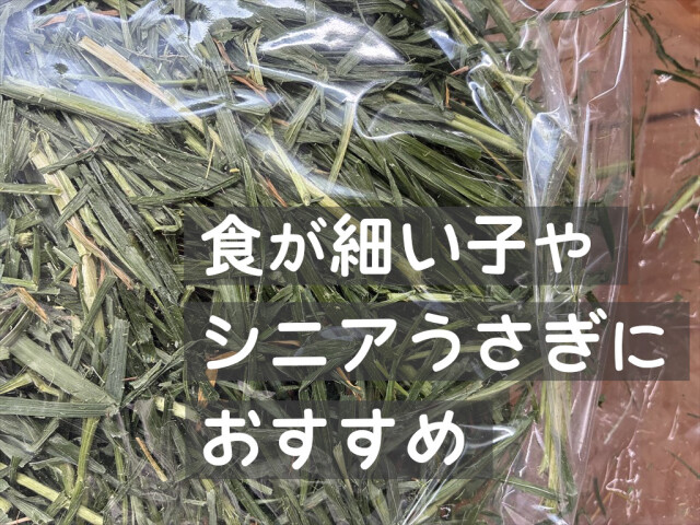 リーフイタリアンライグラス