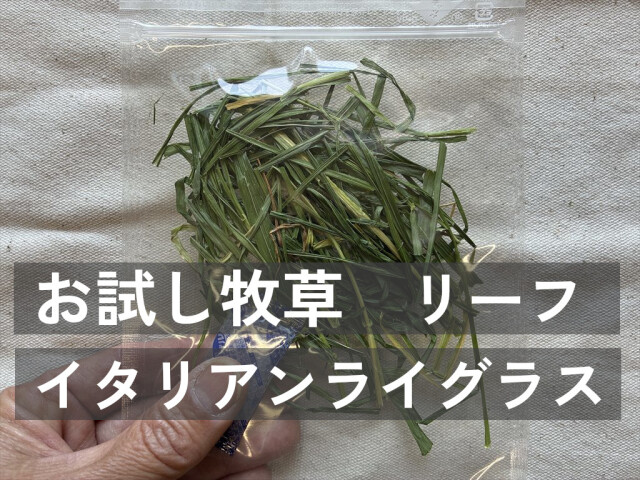 リーフイタリアンライグラス うさぎが食べやすい柔らかい牧草
