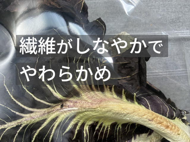 乾燥プレコーチェ