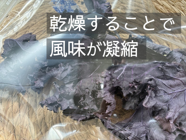 うさぎが食べる乾燥カリーノケールロッソ