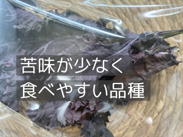 牧草に混ぜやすい乾燥紫ケール
