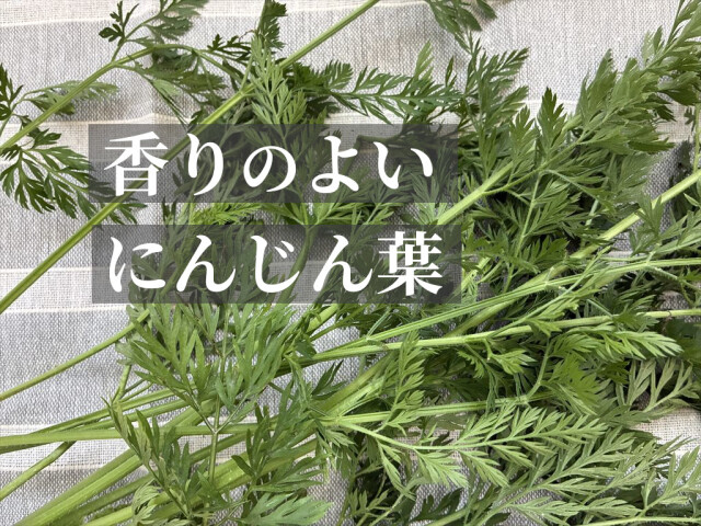香りの良い葉つき人参 うさぎが喜ぶ生野菜