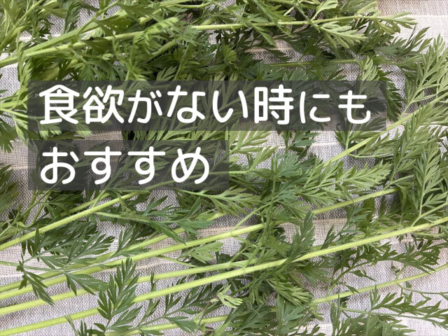 うさぎ用葉付きにんじん 新鮮な葉と根のセット