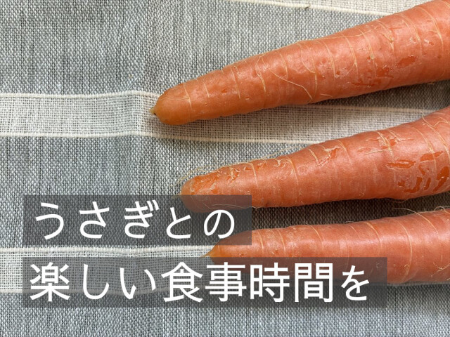 新鮮な葉付きにんじん うさぎの食欲サポートに