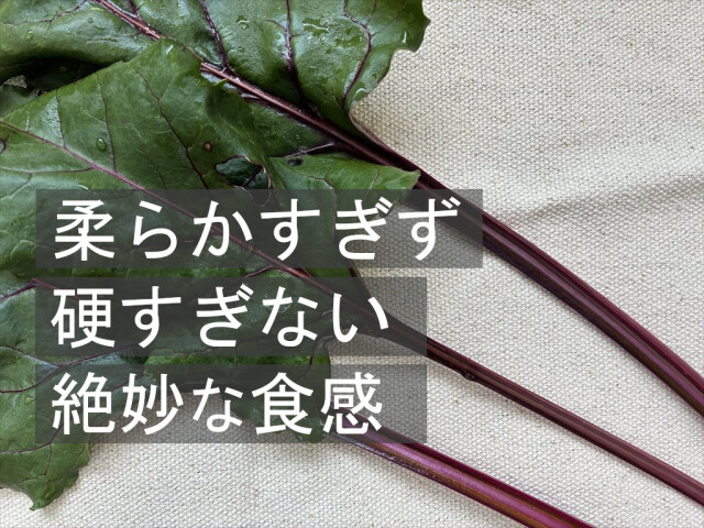 食欲不振対策 うさぎの葉野菜