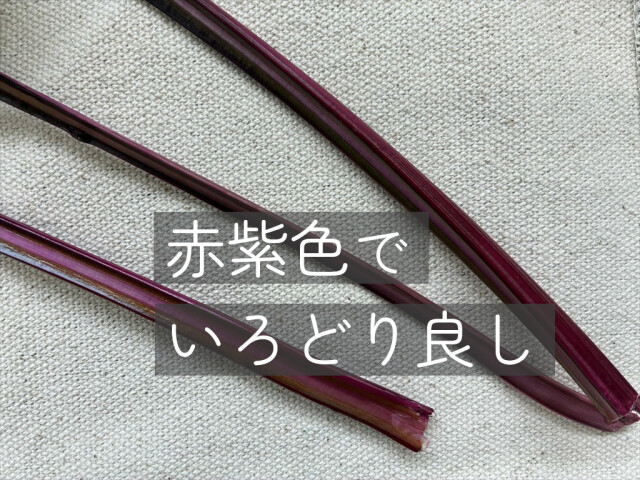 みずみずしいビーツの葉 クローズアップ
