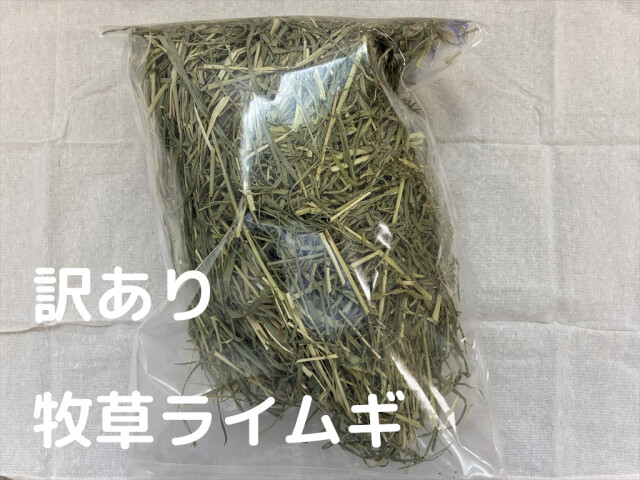 訳あり牧草ライムギ