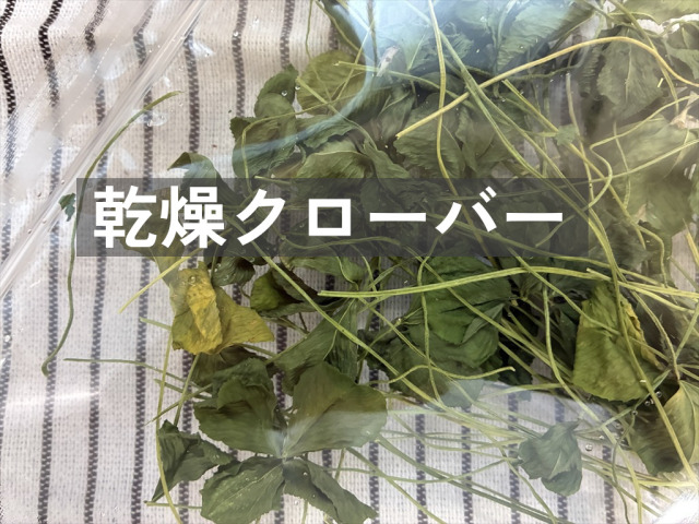 国産クローバーを乾燥したうさぎ用おやつ