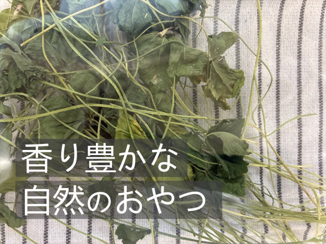 牧草に混ぜやすい乾燥クローバー