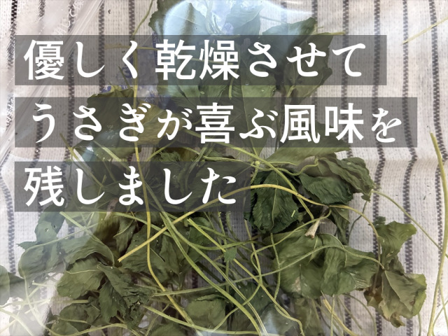 食欲サポートに人気の乾燥クローバー