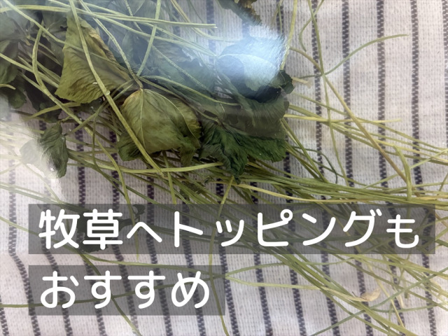 クローバーの葉がたっぷり入った乾燥野草