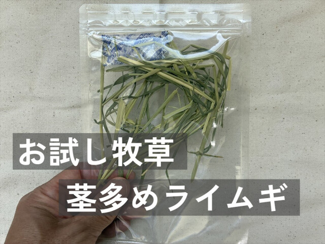 お試し牧草茎多めライムギ