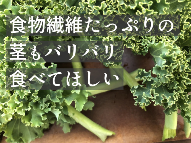 緑カリーノケールヴェルデ