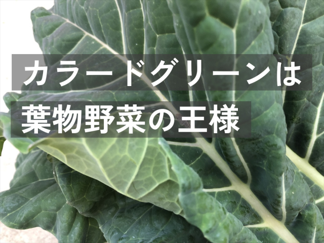 カラードグリーン