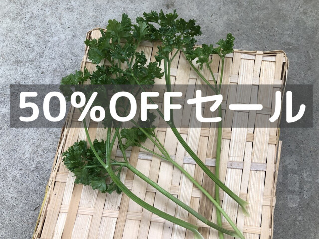 パラマウントパセリ