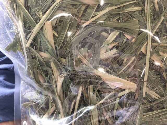 乾燥若刈りスーダン200g 乾燥若刈りスーダン200g