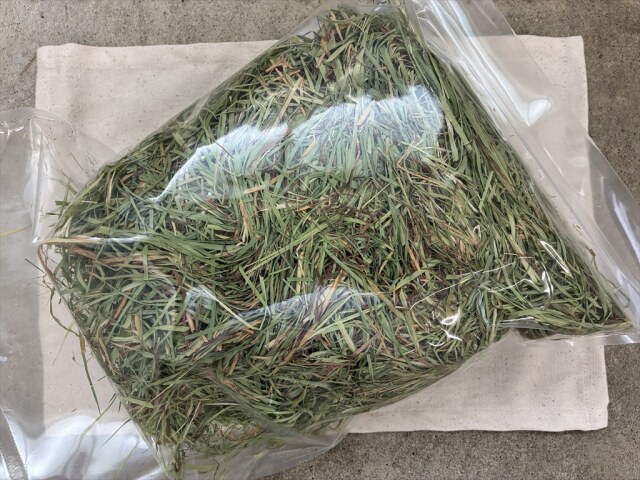 茶葉多いチモシー