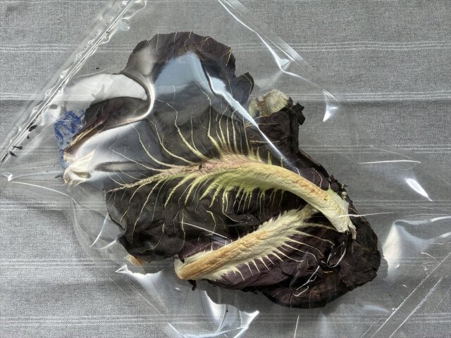 乾燥プレコーチェ