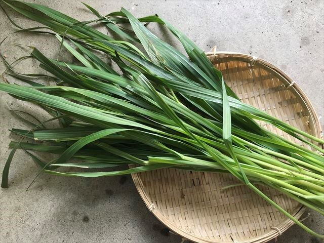 生オーツヘイ 生牧草