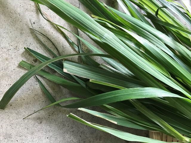 生オーツヘイ 生牧草