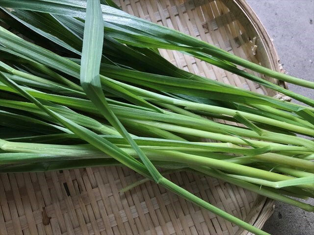 生オーツヘイ 生牧草