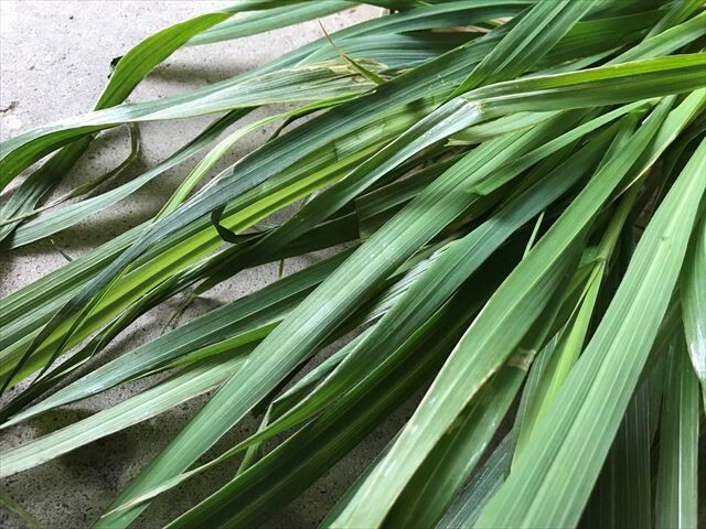 生オーツヘイ 生牧草