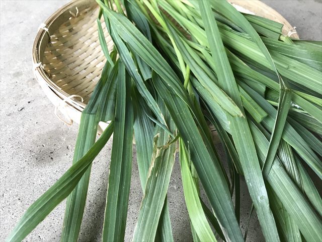 生オーツヘイ 生牧草