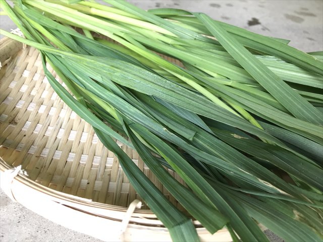 生オーツヘイ 生牧草