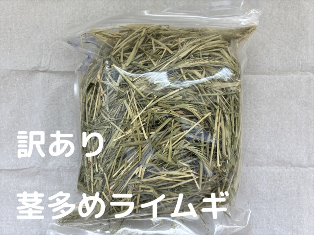 訳あり牧草茎多めライムギ