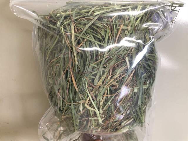 人気 うさぎさんのためのレギュラータイプ乾燥イタライ200g フード・おやつ