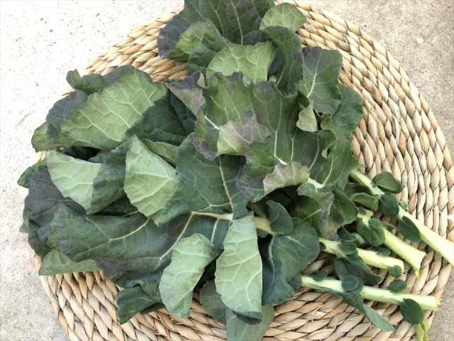 ブロッコリー葉