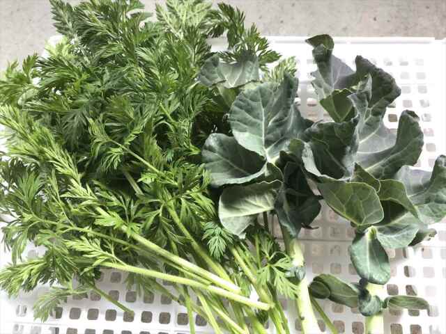 生野菜アソート