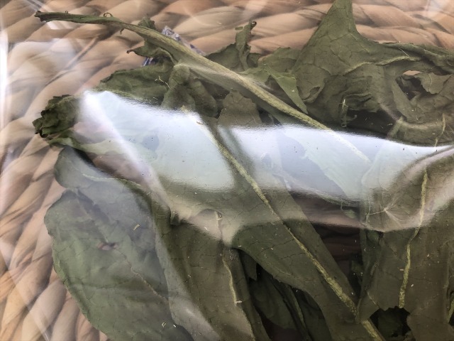 乾燥たんぽぽ葉