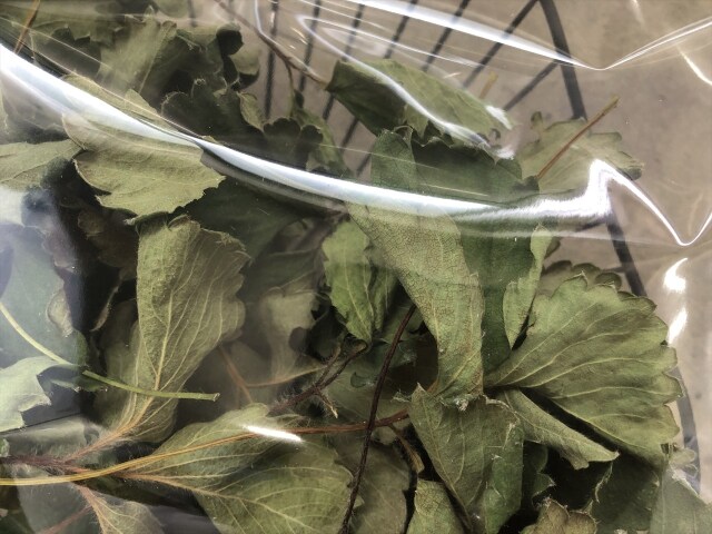 乾燥いちご葉
