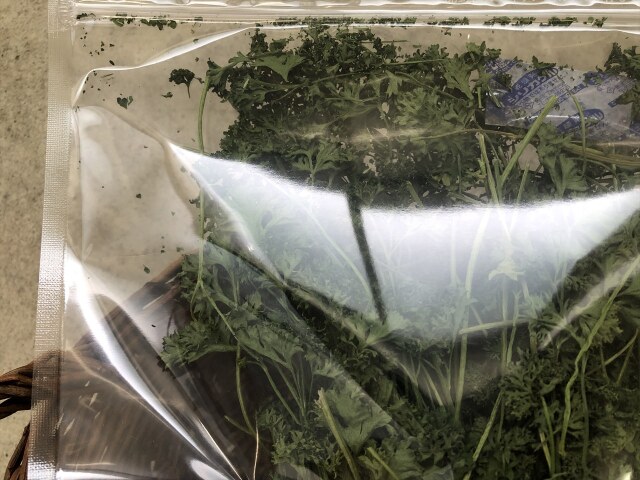 乾燥パラマウントパセリ