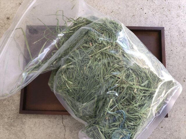 チモシー１番刈り